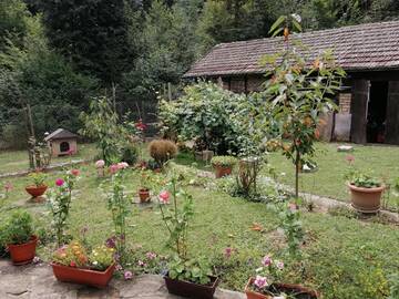 Фото номера Дом для отпуска Гостевой дом Guest House Tsveti-Trqvna г. Bangeytsi 65