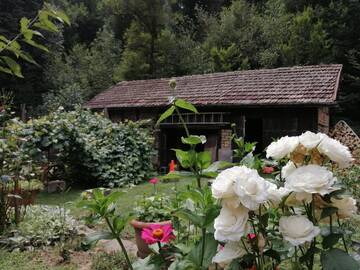 Фото номера Дом для отпуска Гостевой дом Guest House Tsveti-Trqvna г. Bangeytsi 29